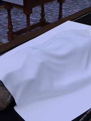 发丘子爵与摸金骑士1_162