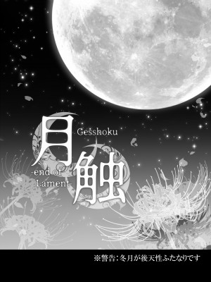 [my pace world (南瓜とるて)] 月触 -end of Lament- (艦隊これくしょん -艦これ-) [DL版]_03