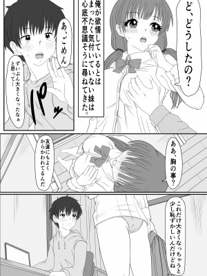 [ミルクレープ (チビゴン)] あにといもうと×きんしんそうかん_05