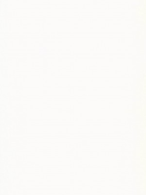 (C101)[矢印キー(星名めいと)] 勇者ちゃんの冒険は終わってしまった!(オリジナル) [禁漫漢化組]_02