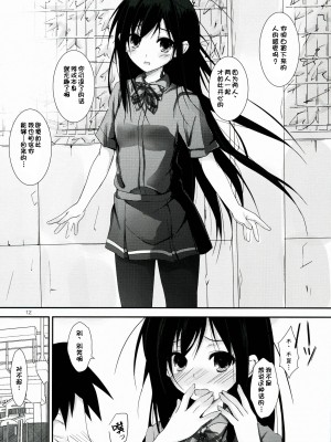 [脸肿汉化组] (サンクリ57) [八木崎銀座 (八神秋一)] 中二病でもネトゲがしたい! (アクセルワールド)_11