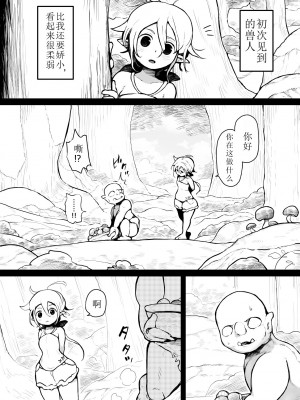 [ムギホホ (ムイギュウ)] エルフとオークのお年頃 [红炎个人汉化]_002