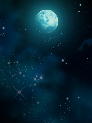 [diletta (成海クリスティアーノート)] 蛮族に嫁いだエルフの姫_180