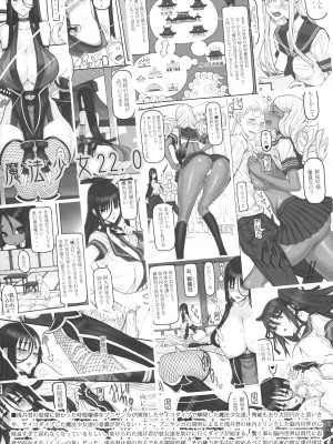 (C101) [絶対少女 (RAITA)] 魔法少女22.0 + C101 会場限定折本 (絶対純白・魔法少女)_02