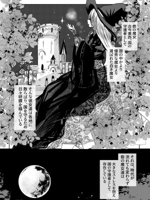 [和菓子商店] 酔いどれ魔女様は旦那様と仲良くしたい [DL版]_02