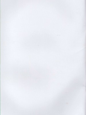 (C99) [Xeph’s Artworks (Xeph)] Wコッコロ楽園 (プリンセスコネクト!Re：Dive) [影子VAN汉化]_03