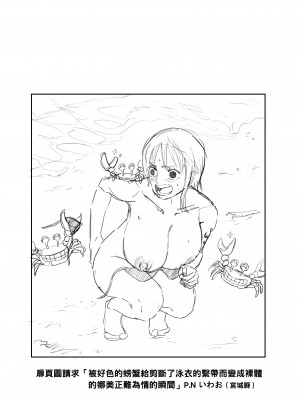 [いわお] ナミまんがといろいろ (ワンピース)_08