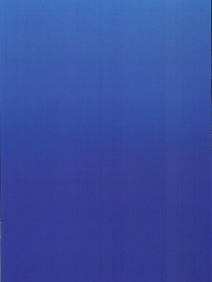 (FF40) [山含] 色色運動大會 (ブルーアーカイブ)_28