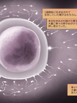 [めでをい] 寝取られネネさん その5 〜排卵日のカノジョの子宮に大量に注がれる、中年オヤジの濃厚孕ませ種汁〜_ch5-0420