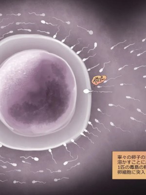 [めでをい] 寝取られネネさん その5 〜排卵日のカノジョの子宮に大量に注がれる、中年オヤジの濃厚孕ませ種汁〜_ch5-0421