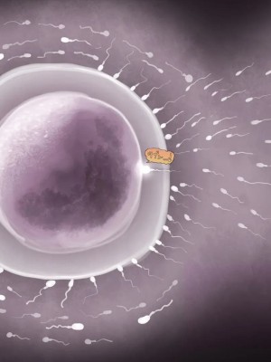 [めでをい] 寝取られネネさん その5 〜排卵日のカノジョの子宮に大量に注がれる、中年オヤジの濃厚孕ませ種汁〜_ch5-0422