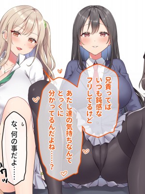 [ラミノネイリス] 俺のことが大好きすぎるJK・JCの妹3人が毎日エロ衣装でお兄ちゃんの赤ちゃんが欲しいと種付けを迫ってくる件_019