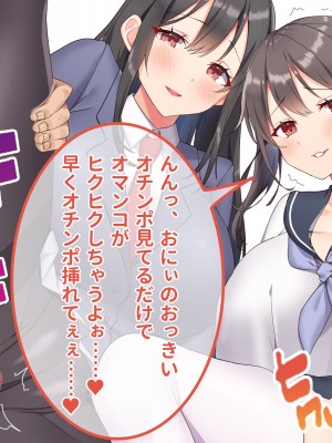 [ラミノネイリス] 俺のことが大好きすぎるJK・JCの妹3人が毎日エロ衣装でお兄ちゃんの赤ちゃんが欲しいと種付けを迫ってくる件_298