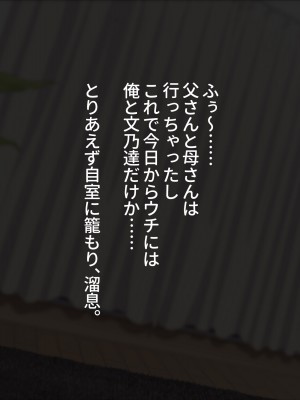 [ラミノネイリス] 俺のことが大好きすぎるJK・JCの妹3人が毎日エロ衣装でお兄ちゃんの赤ちゃんが欲しいと種付けを迫ってくる件_014