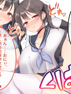 [ラミノネイリス] 俺のことが大好きすぎるJK・JCの妹3人が毎日エロ衣装でお兄ちゃんの赤ちゃんが欲しいと種付けを迫ってくる件_306