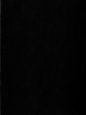 (C101) [Yokohama Junky (魔狩十織)] ソロハンターの生態WORLD 8 (モンスターハンター)_05