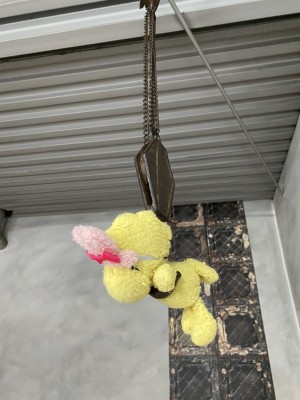 [柳丸] 柳丸 2022年04月写真合集_0324