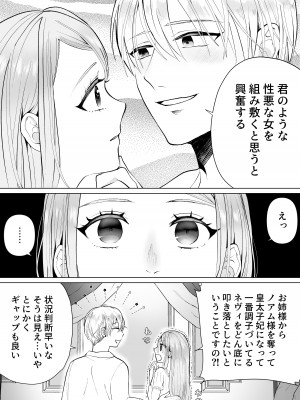 [bozzolo (闇のいんこ)] 性悪令嬢が姉の婚約者を奪った結果 [DL版]_12