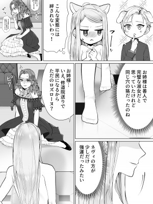 [bozzolo (闇のいんこ)] 性悪令嬢が姉の婚約者を奪った結果 [DL版]_64