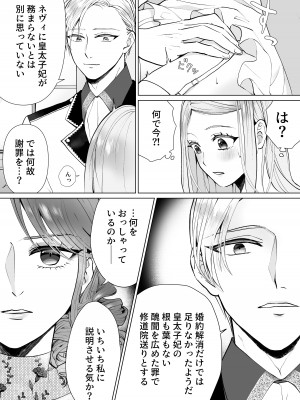 [bozzolo (闇のいんこ)] 性悪令嬢が姉の婚約者を奪った結果 [DL版]_45