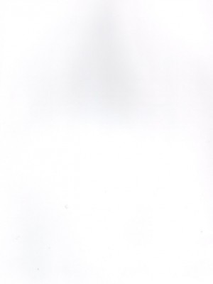 [soulrr 個人漢化] (C80) [ACID EATERS (和馬村政)] だって響が好きなんだもん (スイートプリキュア)_02