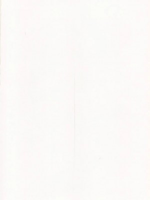 [脸肿汉化组] (C78) [サイクロン (和泉, 冷泉)] F850 (魔法少女リリカルなのは)_02