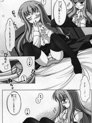 (C71) [K-DRIVE、OVERALL (鳴滝しん、Yu-ji)] きぞくのひ・み・つ (ゼロの使い魔)_14