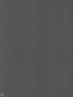 [神风汉化组] (C76) [ギリギリ虹色 (上乃龍也)] なのだっ!!!! (ハヤテのごとく！)_03