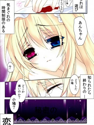 (C81) [お姫様と僕。 (心乃在架)] 禁じられた遊び2 (僕は友達が少ない)_14