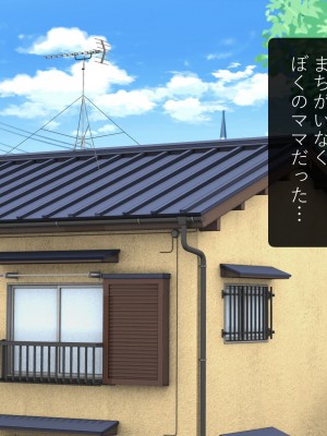 [工房七] ぼくのママはぼくを妊娠しているときホームレスモノのAVに出演していました。_003