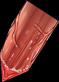 [ナズナ] ストップストリップ (アイドルマスター シンデレラガールズ) [無修正]_50