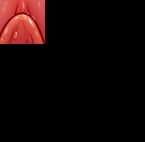 [ナズナ] ストップストリップ (アイドルマスター シンデレラガールズ) [無修正]_75