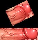 [ナズナ] ストップストリップ (アイドルマスター シンデレラガールズ) [無修正]_42