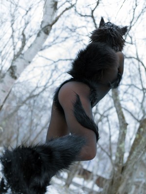 Nonsummerjack - Timber wolf_128 (T.ME-COSPLAYSETS)