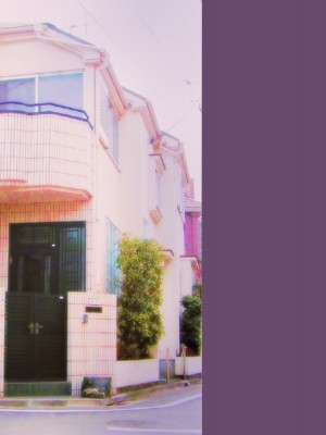 [翠色戦団] しずかさんの托卵 大学一の『抱かれたくない男』に選ばれたボクが近所の巨乳人妻に○○しちゃった話―――。_253