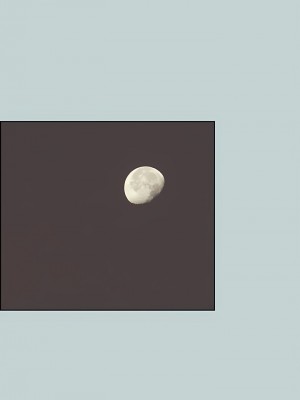 適合劈腿的好日子 1-131話[完結]_086_06