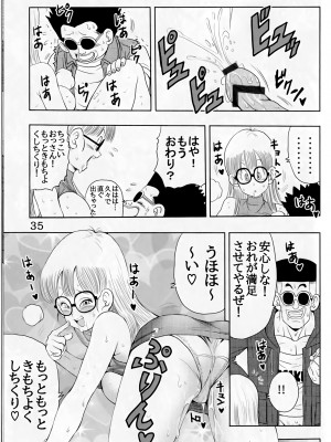 [モンキーズ (ヤングじじい)] 大人アラレ本 (ドクタースランプ)_35