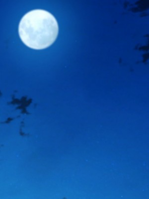 [もふまんじゅう] セックス漬けの夏休み ～母娘が俺のメスになるまでの記録～_550