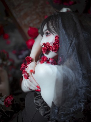 贰加六 - 暗黑哥特新娘_06