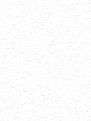 [ひよりハムスター] 服従の呪い [デジタル特装版] [中文]_044