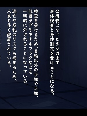 (同人誌) [ゆきむら丸] 公有物少女 2 ～ 国から人権を剥奪され物として扱われる女の子の話 ～ 二日目編_033