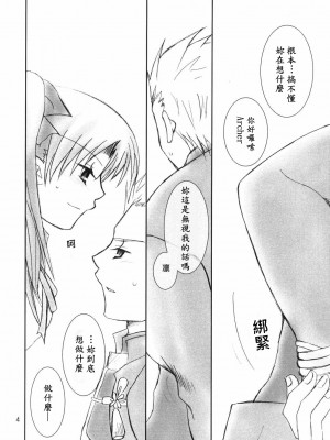 [wl00314824個人漢化] (C66) [HAPPY WATER (樹崎祐里)] Restraint. (Fate／stay night)_03