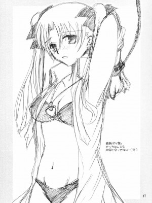 [wl00314824個人漢化] (C66) [HAPPY WATER (樹崎祐里)] Restraint. (Fate／stay night)_16