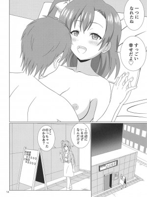 (C94) [MagicalFlight (十畳たたみ)] 引き裂くことり (ラブライブ！)_13