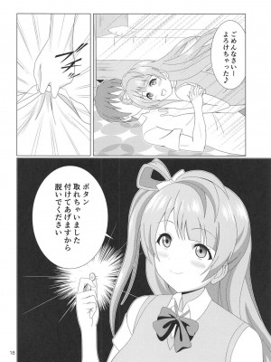 (C94) [MagicalFlight (十畳たたみ)] 引き裂くことり (ラブライブ！)_17