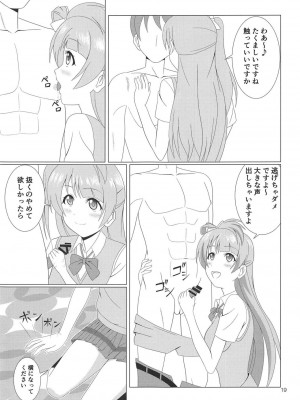 (C94) [MagicalFlight (十畳たたみ)] 引き裂くことり (ラブライブ！)_18