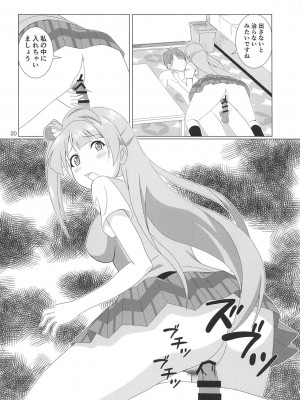 (C94) [MagicalFlight (十畳たたみ)] 引き裂くことり (ラブライブ！)_19