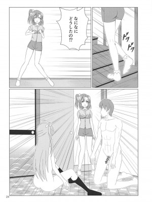 (C94) [MagicalFlight (十畳たたみ)] 引き裂くことり (ラブライブ！)_23