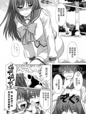 [悠月工房] (C69) [CAZA MAYOR (つつみあかり)] ToyHeart vol.3 (トゥハート2)_11