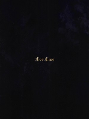 [佚名机翻] (C97) [slice slime (108号)] レジェンド オブ シコリース (聖剣伝説3)_22